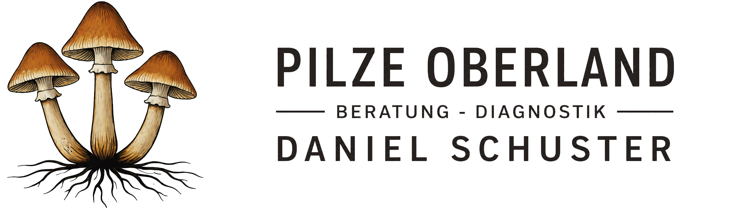 Pilze Oberland